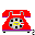 Call Walter